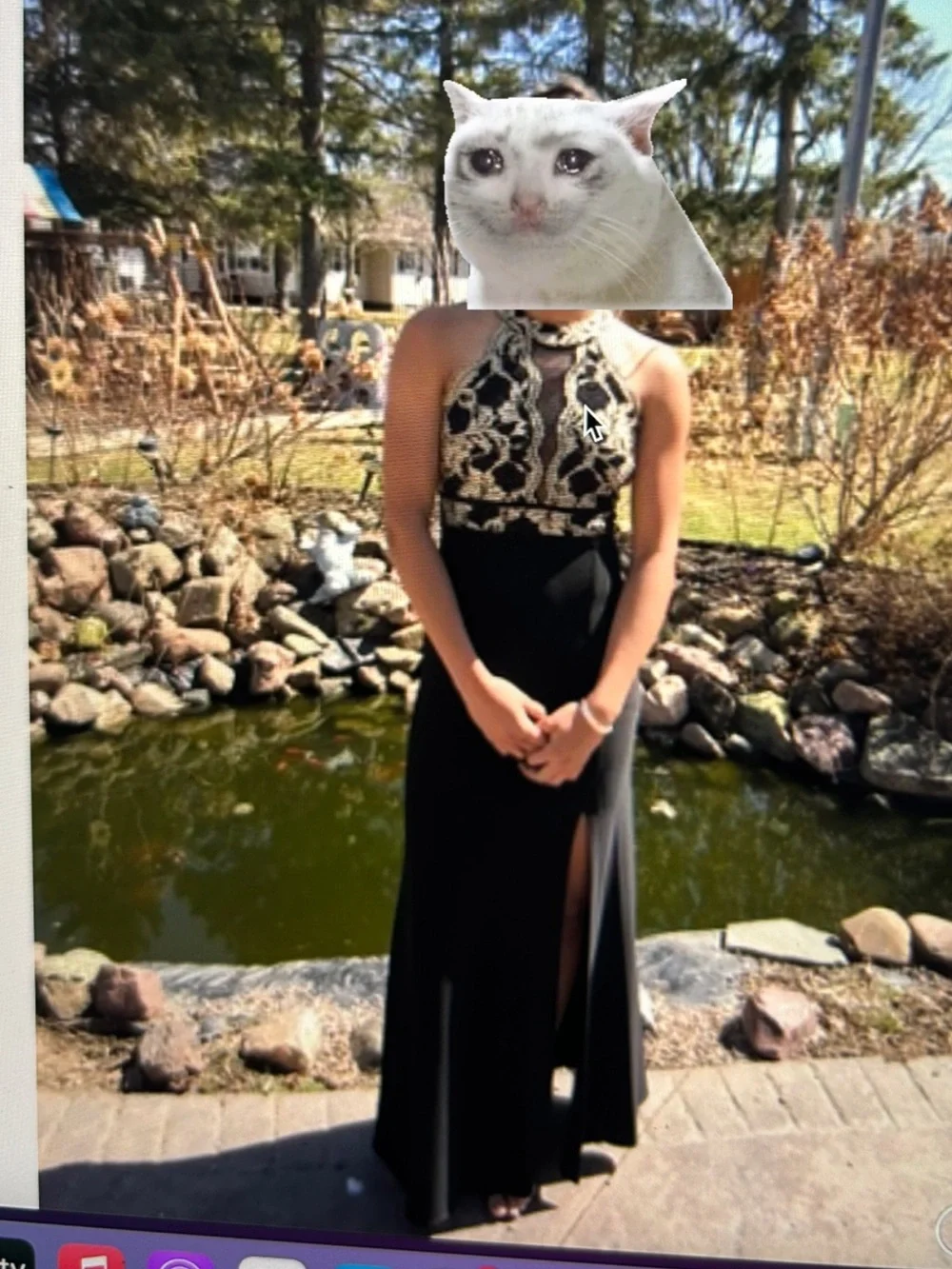 Elegant Black and Gold Cat-Themed Halter Evening Dress